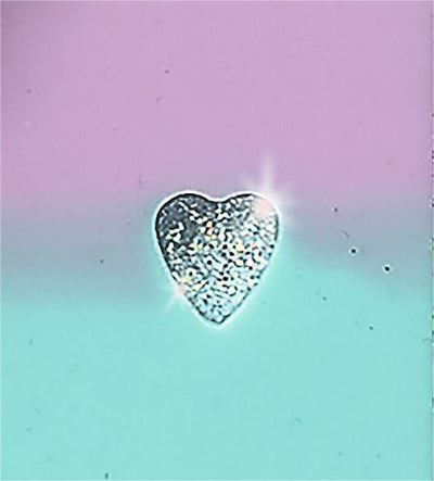 Holo Notizbuch mit Charms