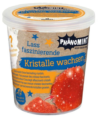 PhänoMINT Kristalle züchten