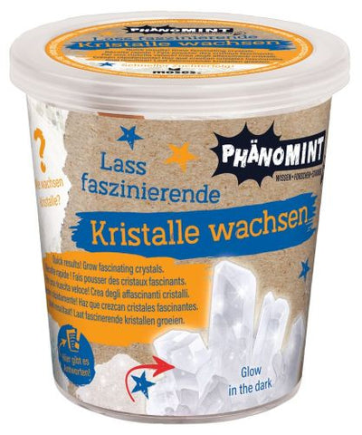 PhänoMINT Kristalle züchten