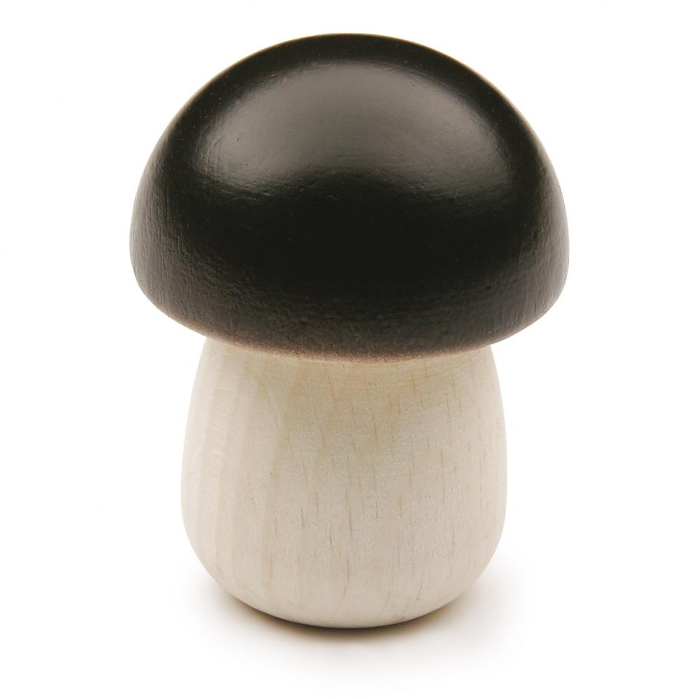 Erzi- Steinpilz