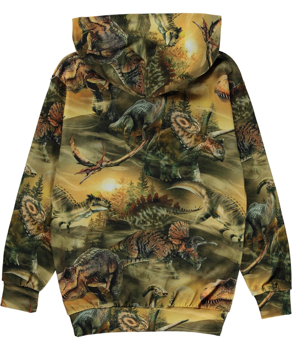 Molo-Romo-Hoodies-Dino Dawn