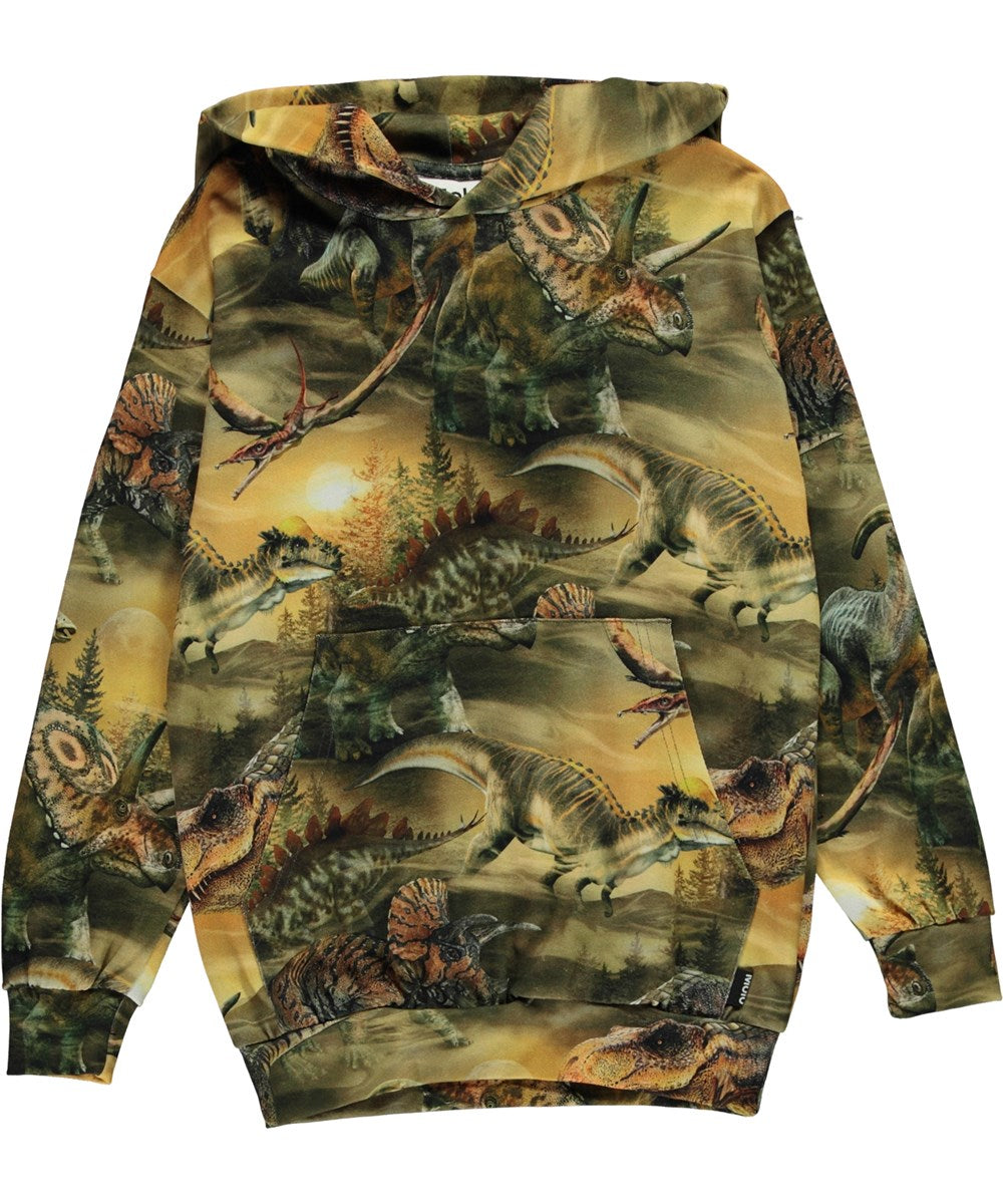 Molo-Romo-Hoodies-Dino Dawn