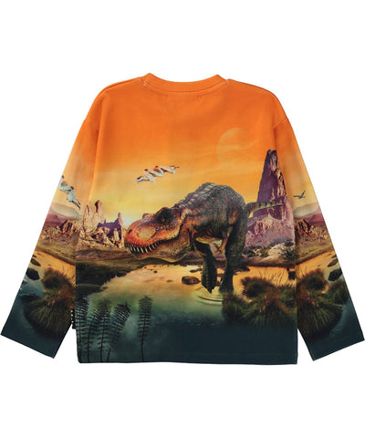 Molo-Mountoo-Sweat shirt-Dino Planet