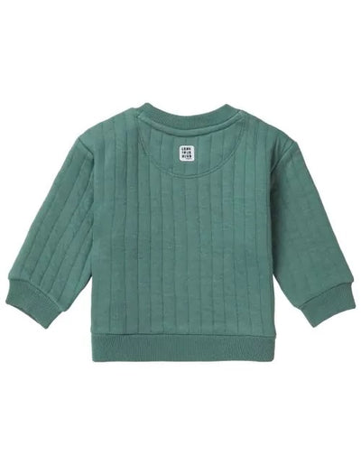 Boys sweater Teaticket long sleeve-Dark Forest