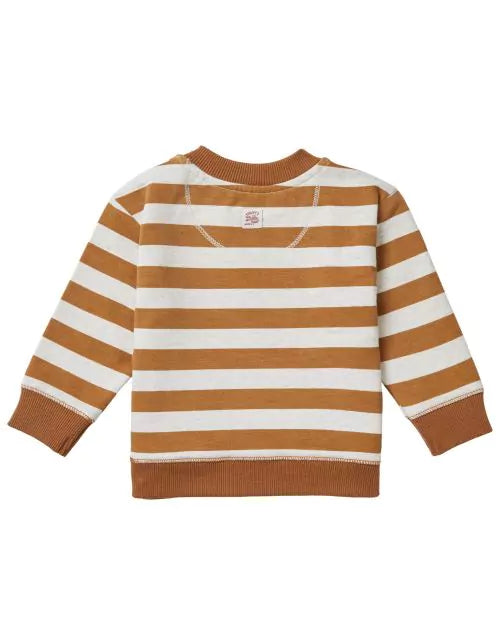 Boys sweater Tangerine long sleeve stripe