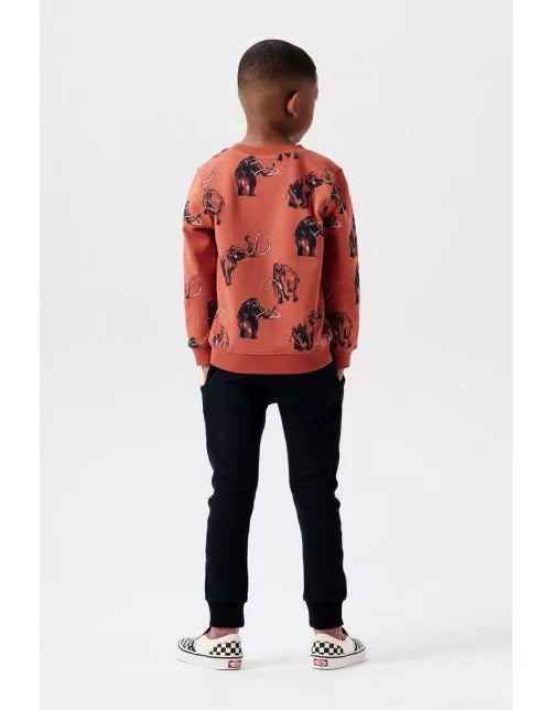 Boys sweater Westchase long sleeve allover print-Chutney