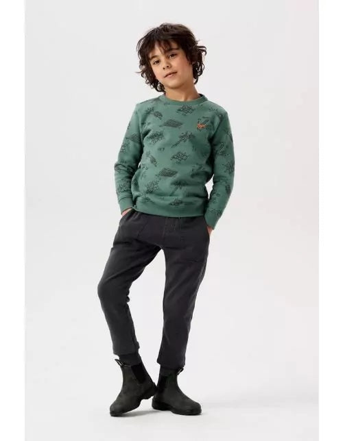 Boys sweater Williamsville long sleeve AOP-Dark Forest