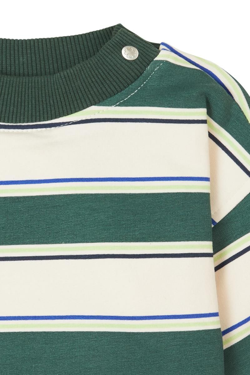 Noppies-Boys Sweater Graveson long sleeve stripe-Garden Topiary