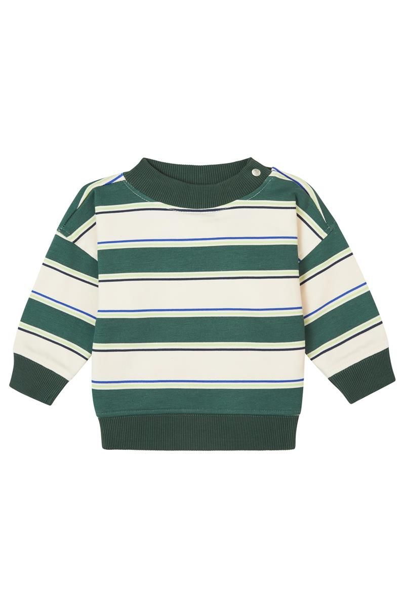 Noppies-Boys Sweater Graveson long sleeve stripe-Garden Topiary