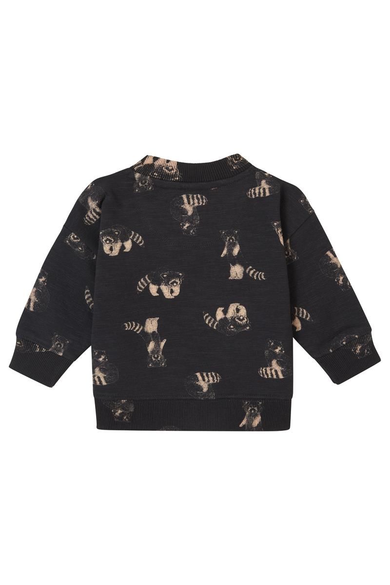 Noppies-Boys Sweater Grijota long sleeve allover print-Phantom