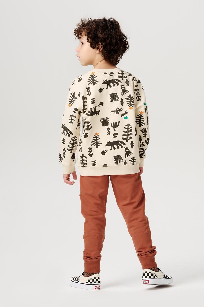 Noppies-Boys Sweater Hadera allover print-Fog