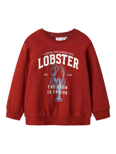Name it-NMMFABIAN NREG SWEAT UNB BOX