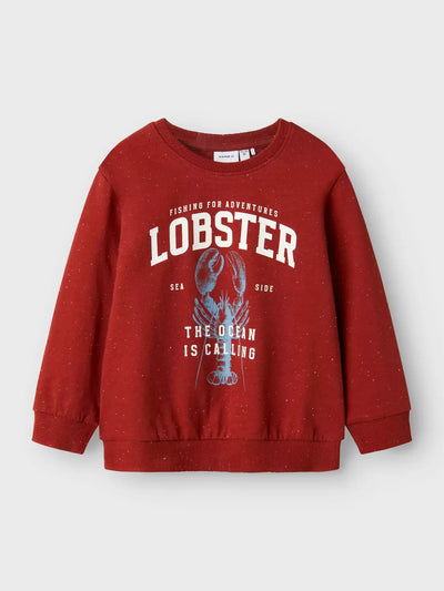 Name it-NMMFABIAN NREG SWEAT UNB BOX