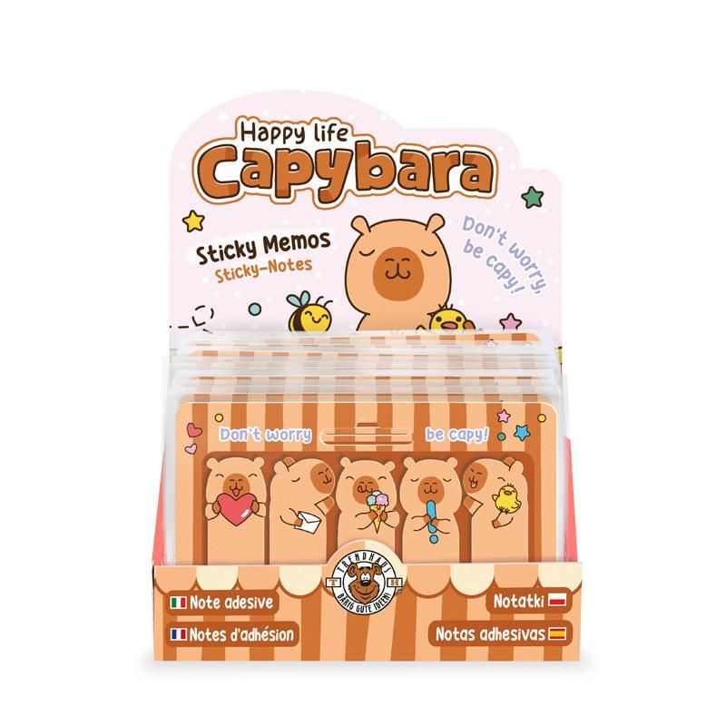 CP HL-5 Sticky Notes 5x30 Blatt