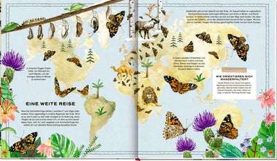 Die geheime Welt der Schmetterlinge-Ein Sachbilderbuch