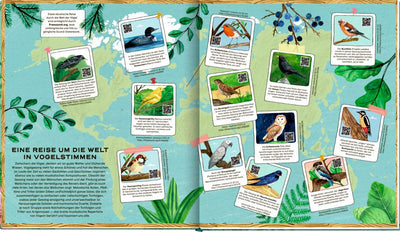 Die geheime Welt der Vögel-Ein Sachbilderbuch