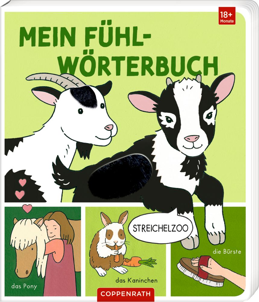 Mein erstes Fühl-Wörterbuch