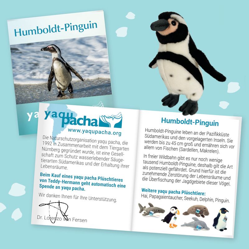 Humboldt-Pinguin 25 cm