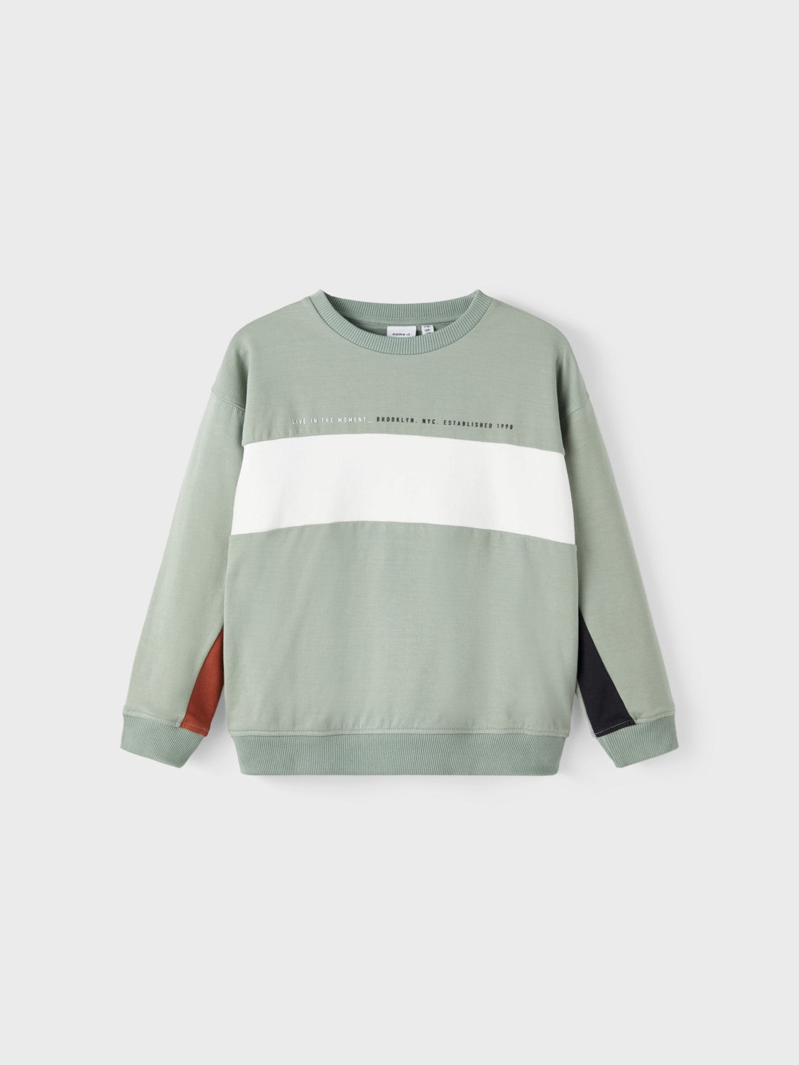 name it - NKMOMOL LS BOXY  SWEAT BRU - Iceberg Green