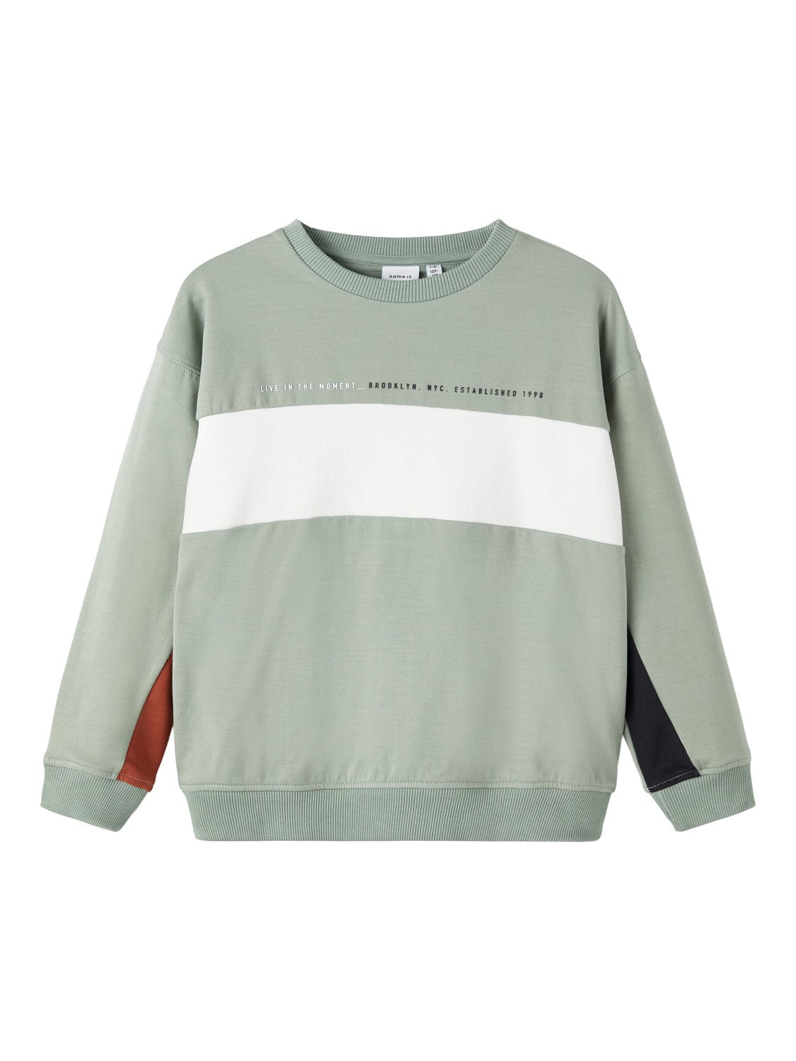 name it - NKMOMOL LS BOXY  SWEAT BRU - Iceberg Green