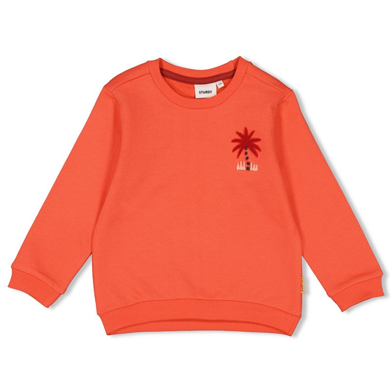 Sturdy-Sweater - Happy Rio-Koralle