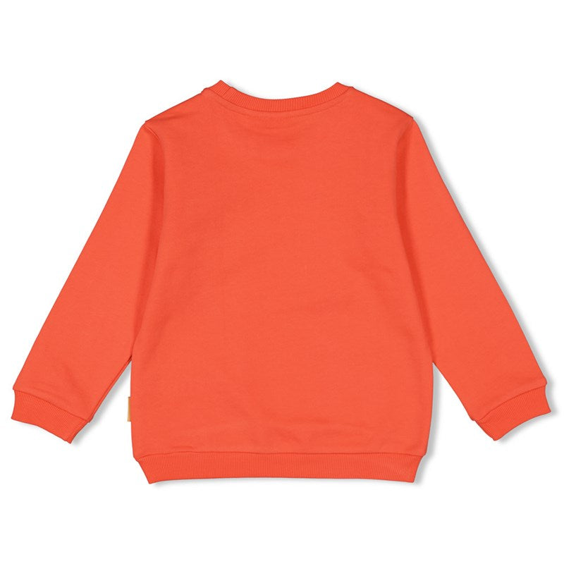 Sturdy-Sweater - Happy Rio-Koralle
