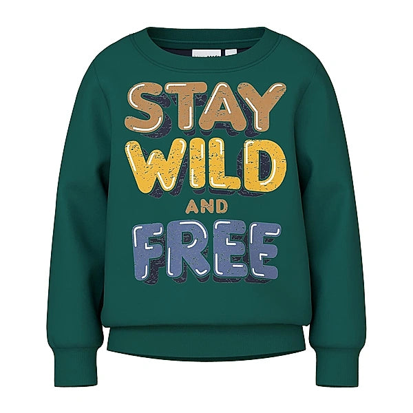 name it-NMMVILDAR LS SWEAT BRU R1-Forest Biome