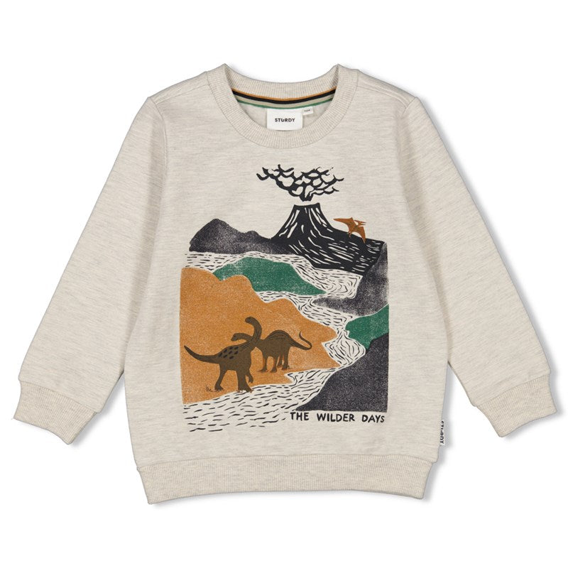 Sweater - He Ho Dino