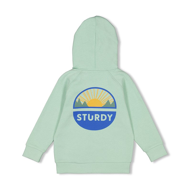 Sturdy-Hoody - Fun Days-Minze